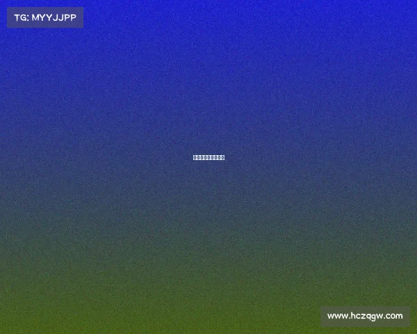 赛事总监是做什么的